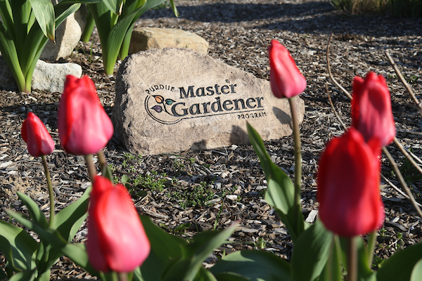 Master Gardener Training