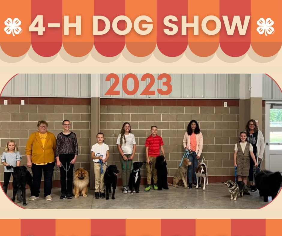 dog show