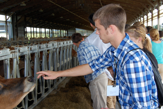 national 4-h dairy conference members tour cattle feed barn