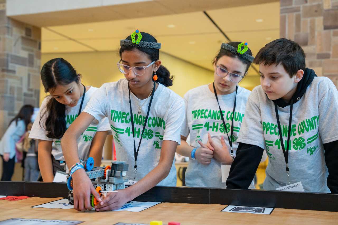 Technology, like robots, that can sense it's environment is considered AI