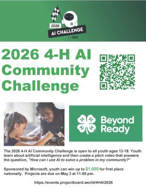 2026 AI Challenge