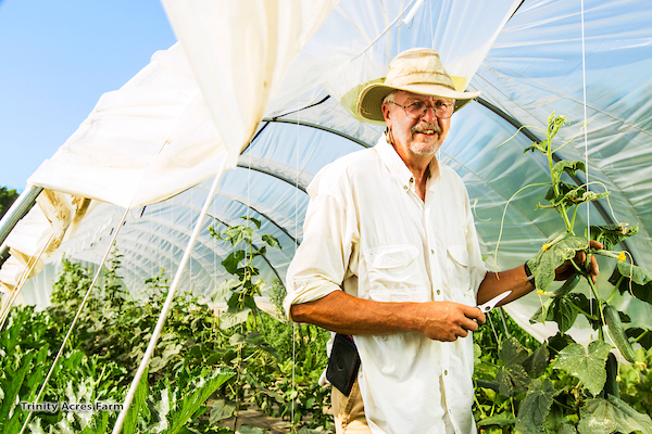 purdue extension farmer harvesting at vegetables under a hoop house