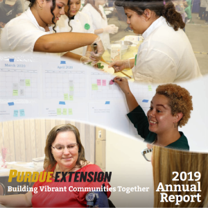 2019 Annual Report