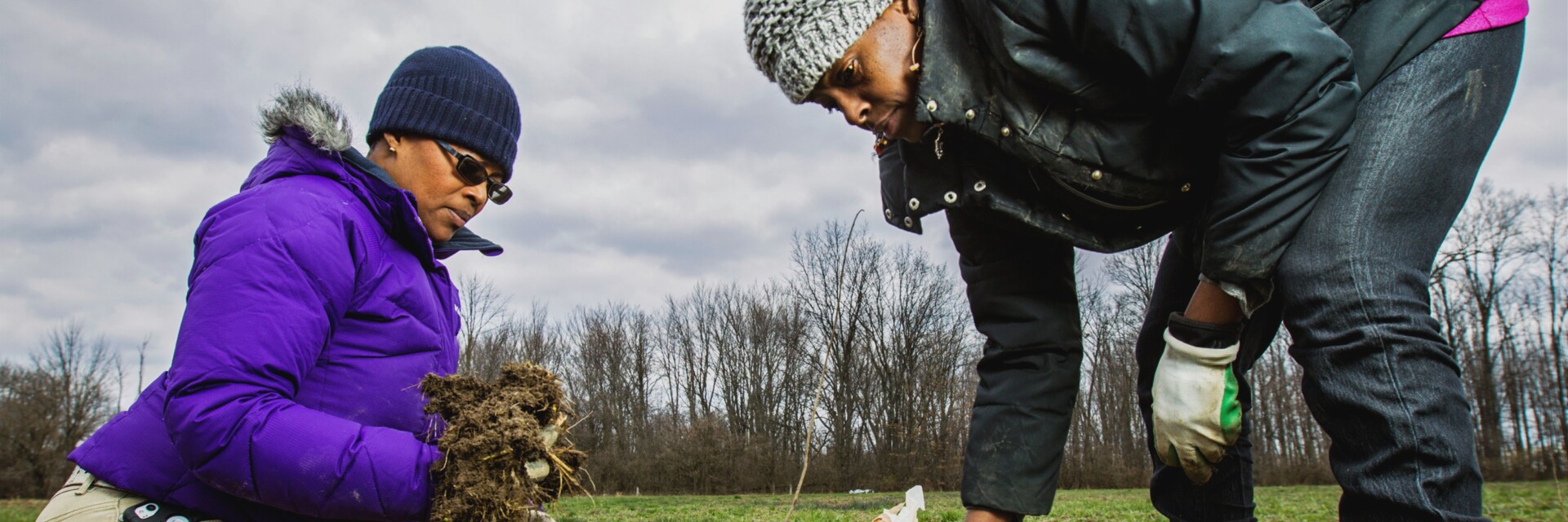 bf-beginning-farmer-signature-background.png.jpg