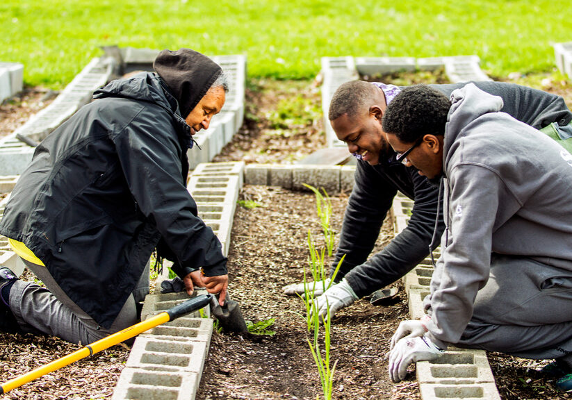 Image of three people planting in a gardener.