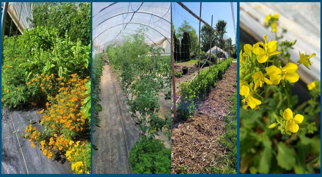 Farms, Flowers and Green houses