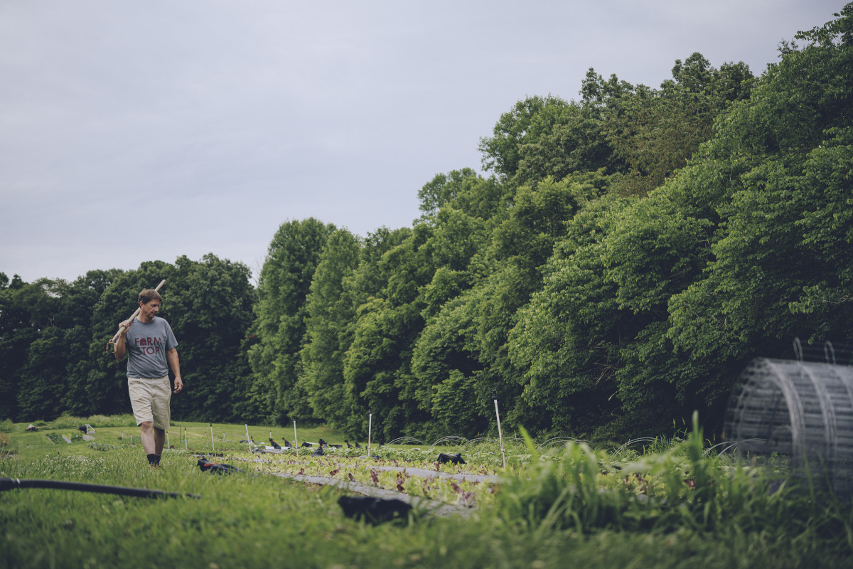 Farmer walking in organic vegetable bed