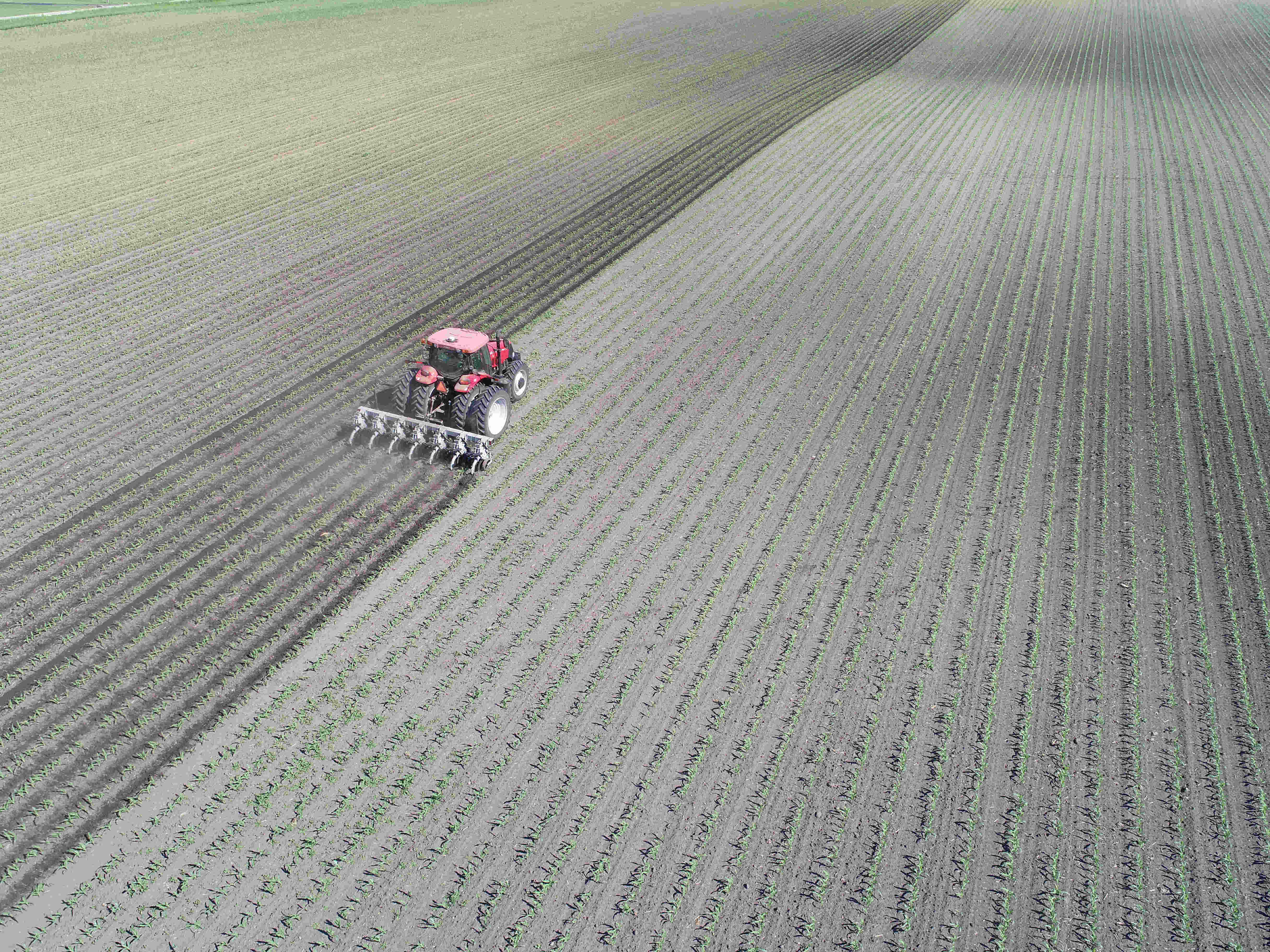 Hinniker cultivator in use at Northeast Purdue Ag Center