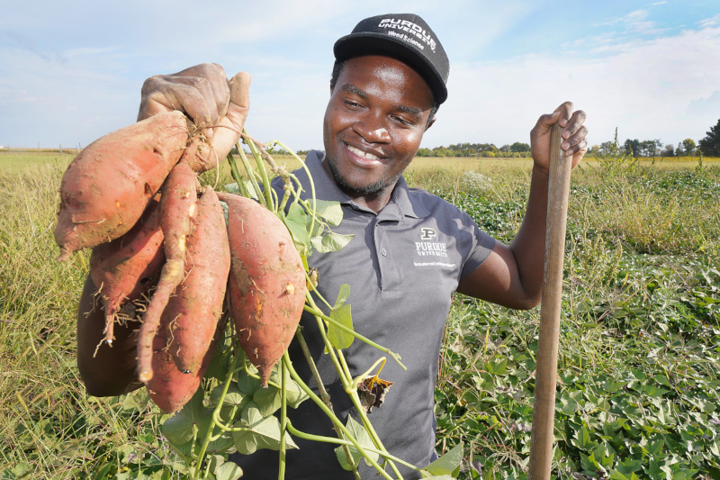 Emmanuel Cooper holding sweet potatoes