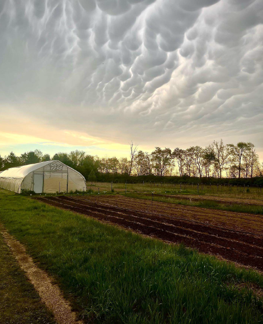 Greenhouse, farm, fields, sky, grass