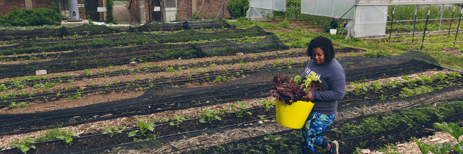 urbanagriculturecertificate.jpg