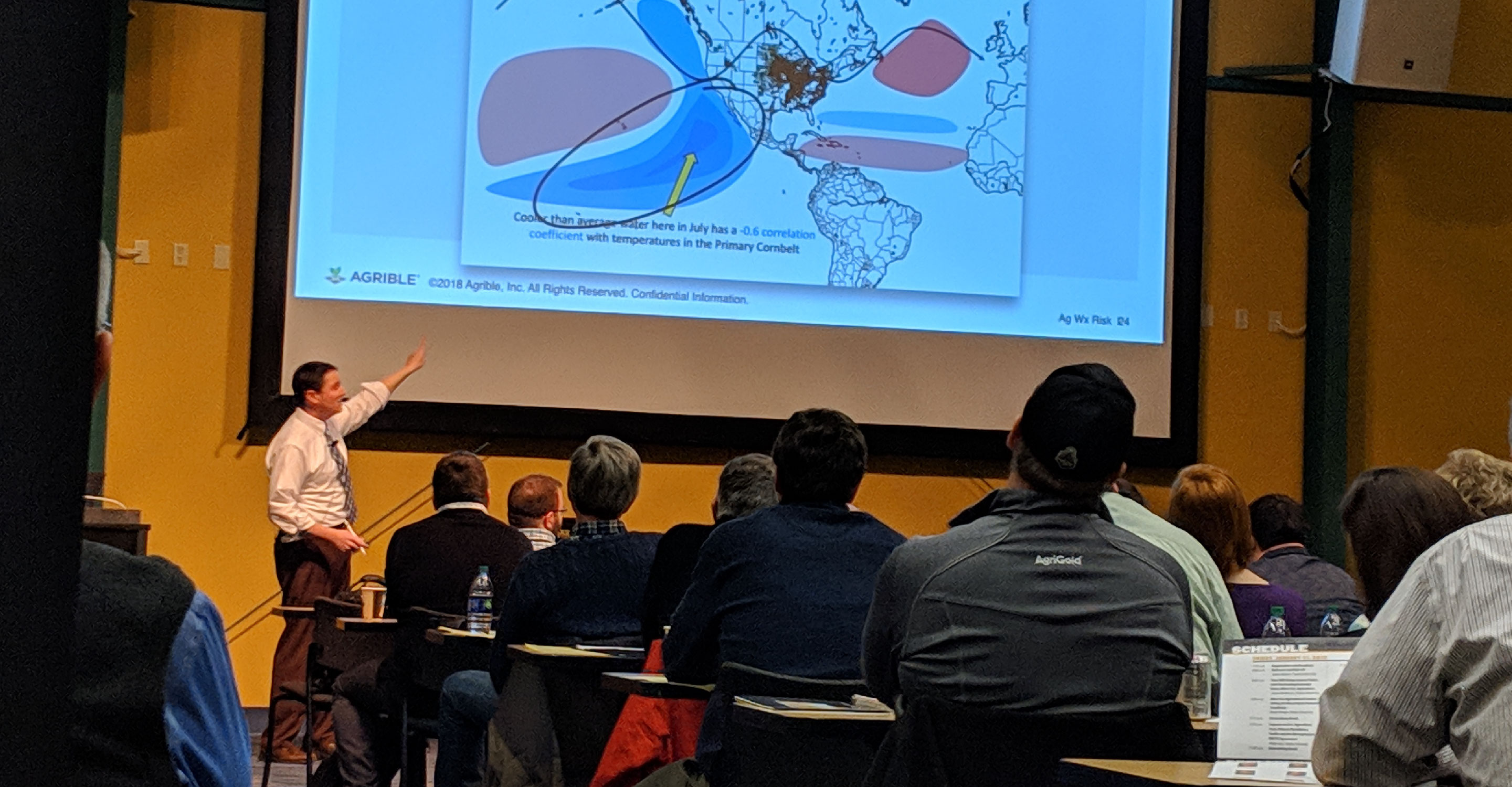 Image of a person giving a presentation to an audience.