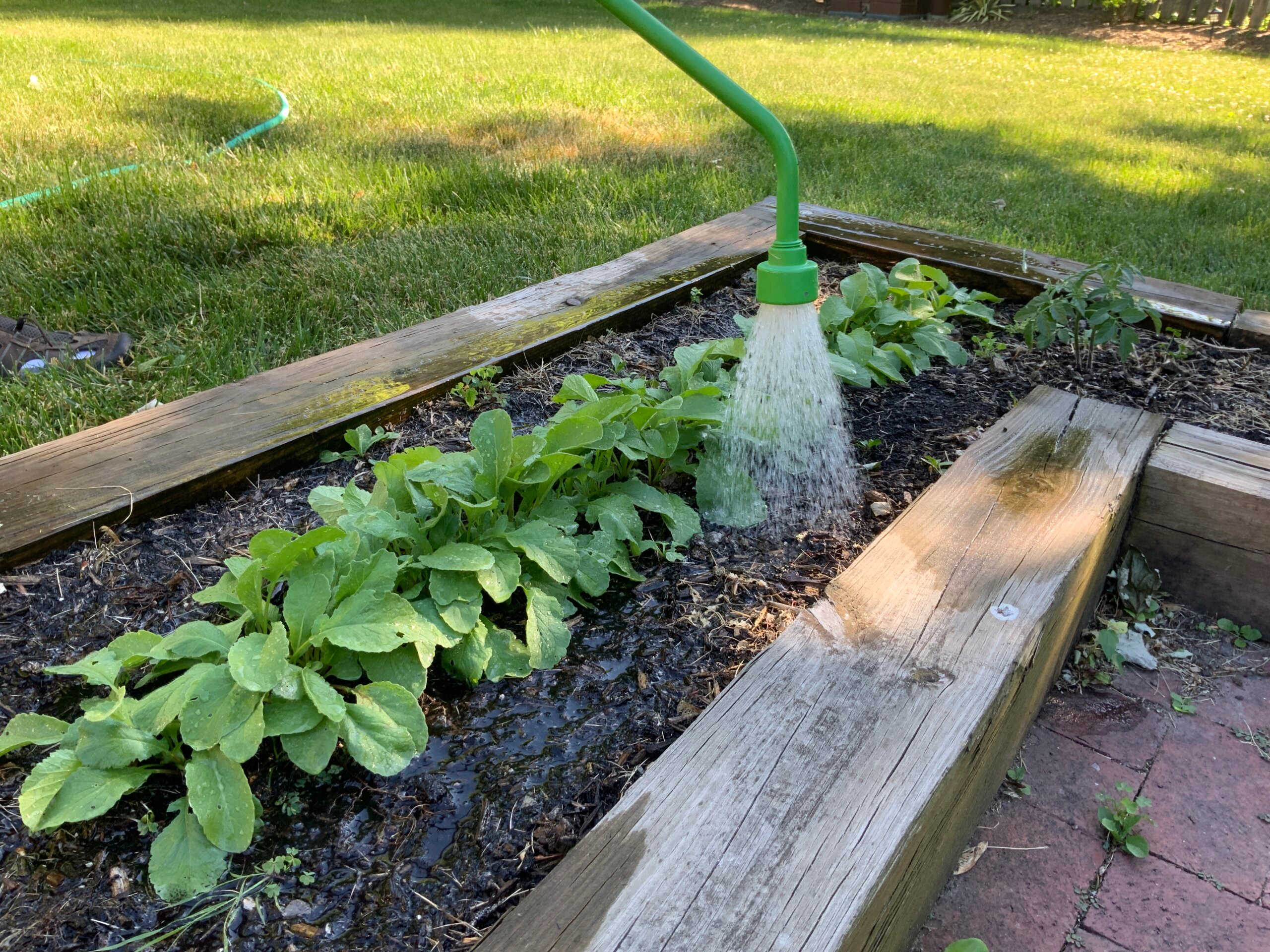 Image of plants in a planter being watered.