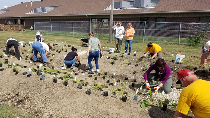 Rainscaping Education