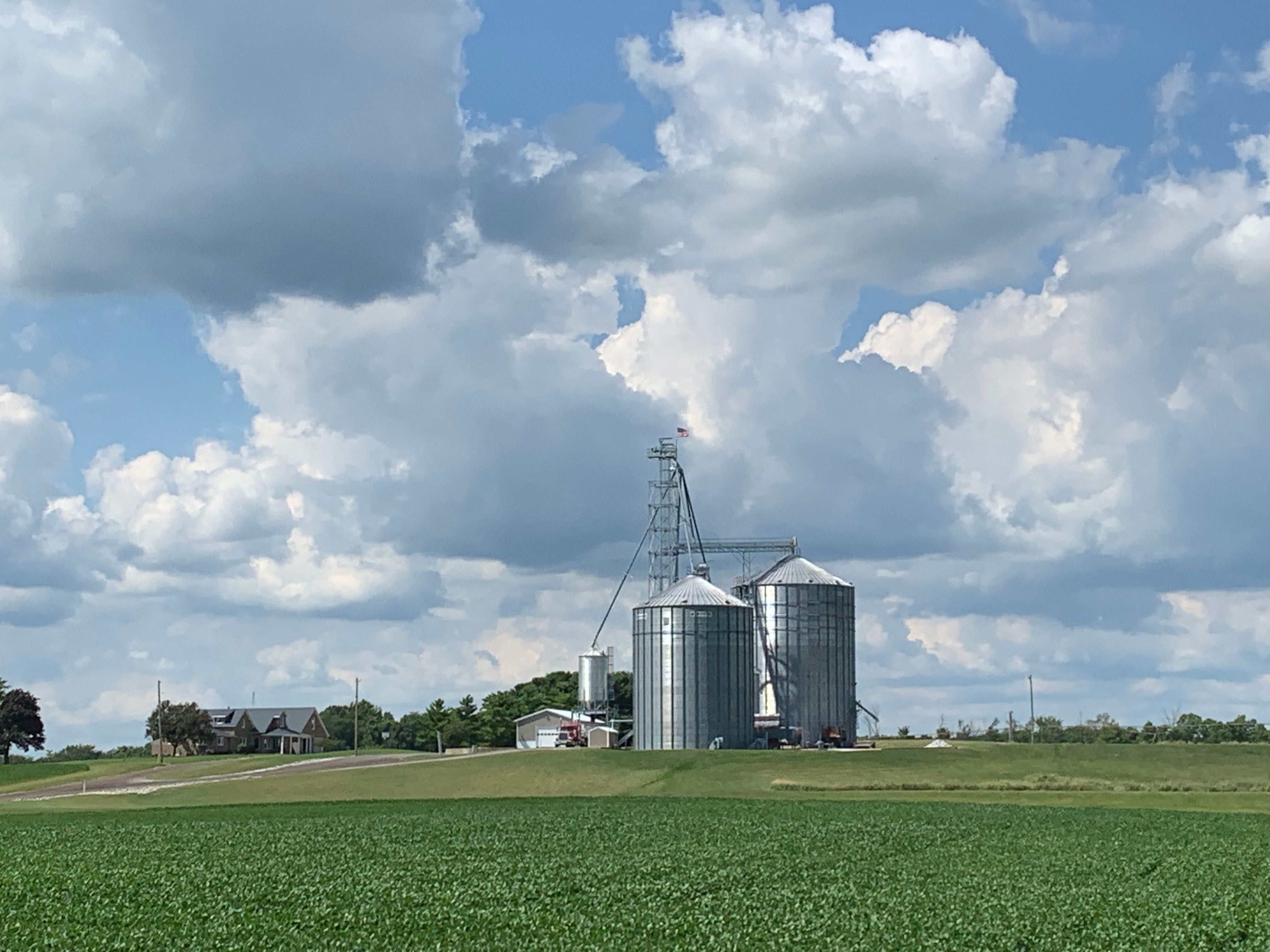 Man surveying a field