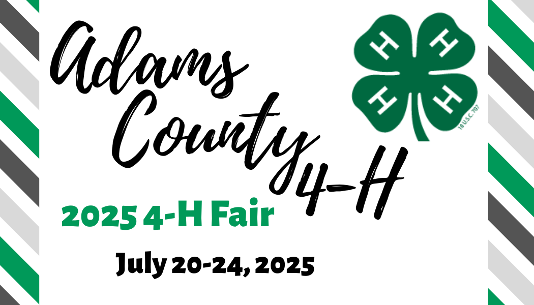 fair-entry-logo.png