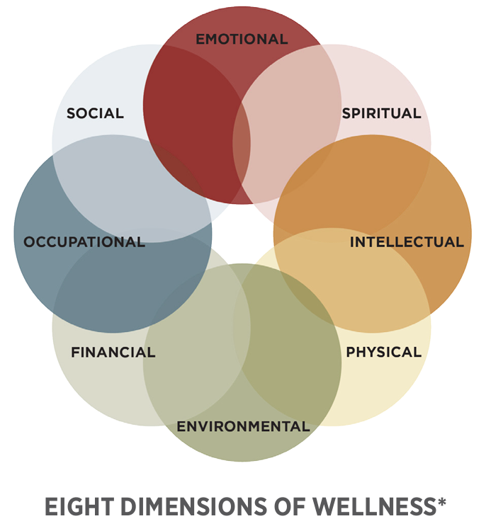 wellness-wheel.png