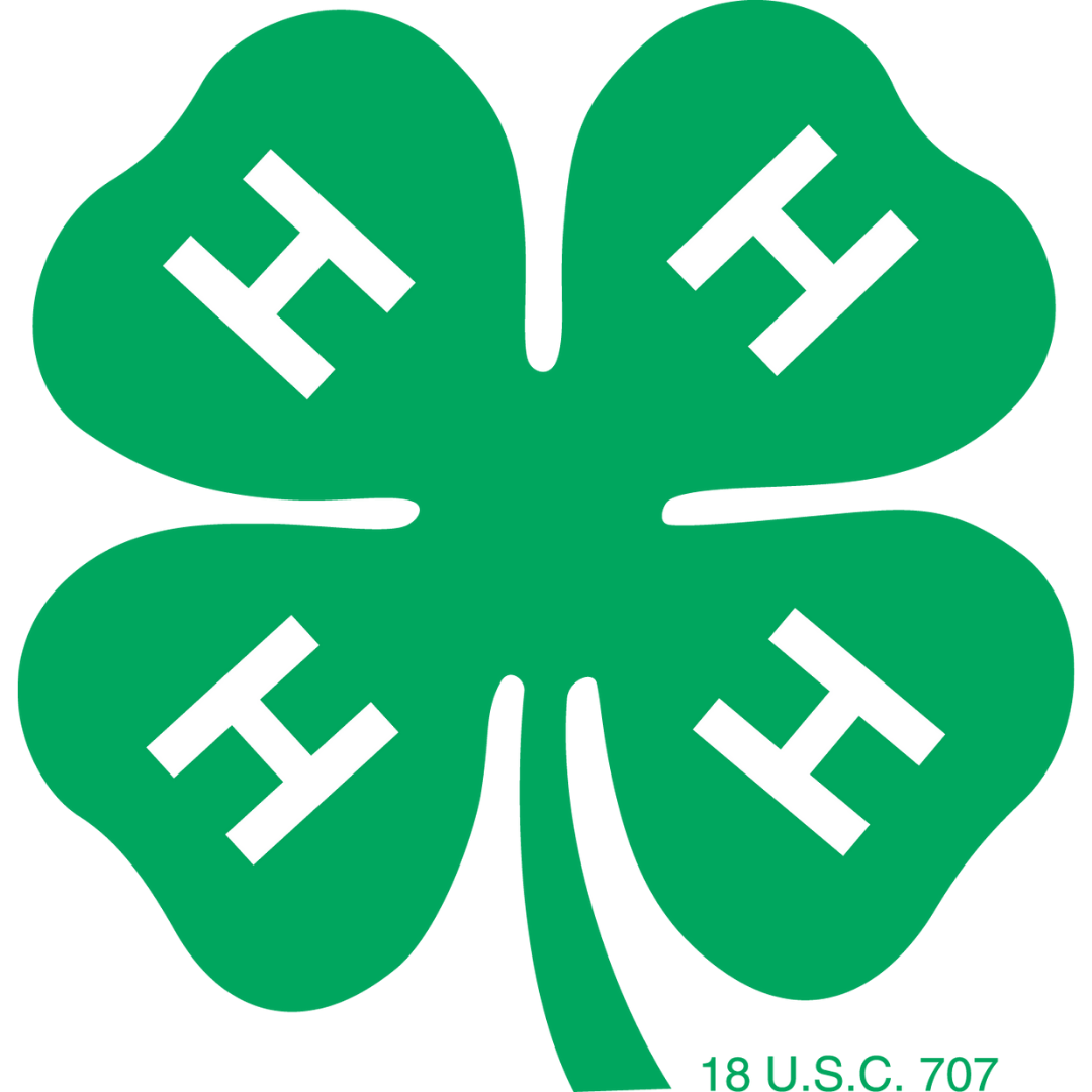 4-H Fever