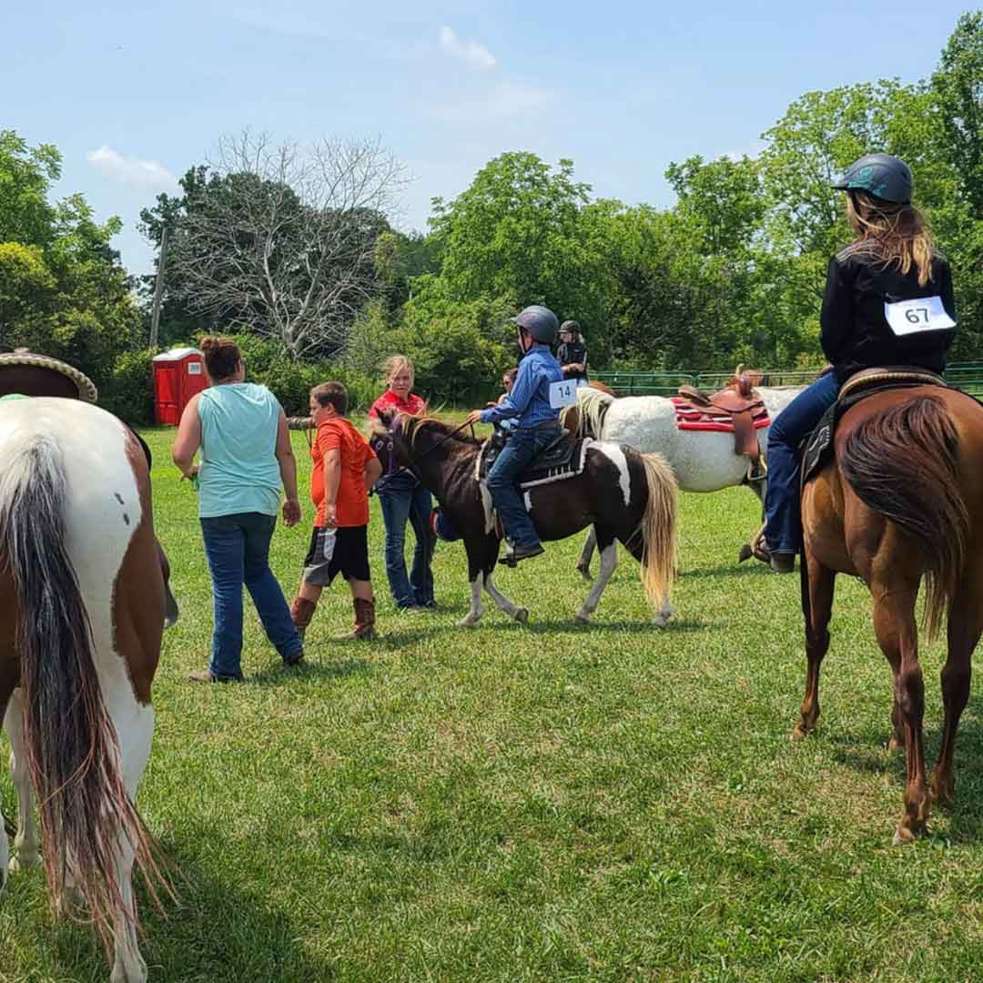 Horse & Pony Club