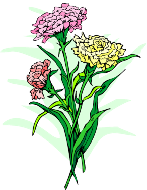 ieha-flower-and-colots.png