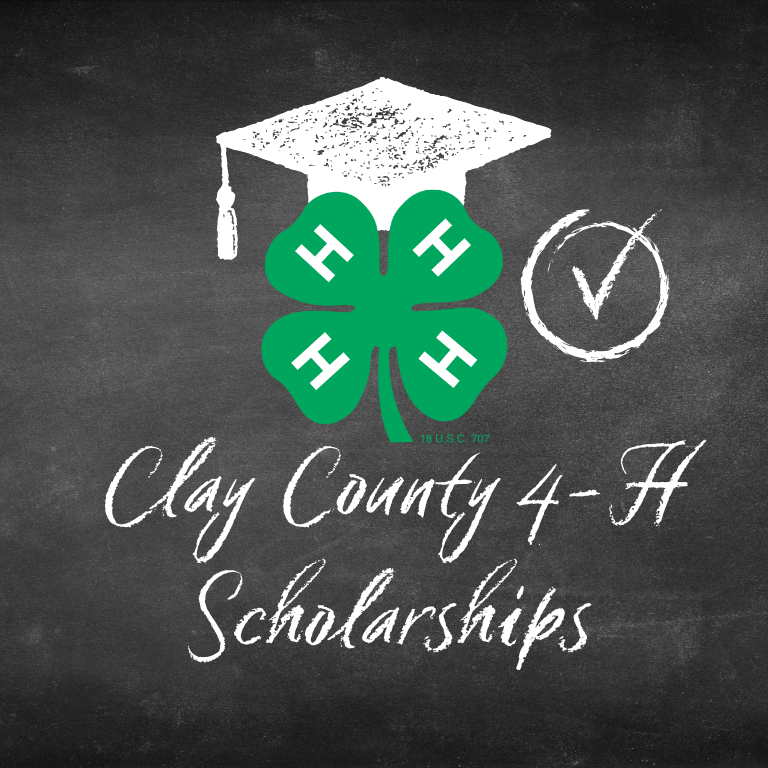 mobile-scholarship-banner.png
