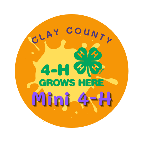 mini-4-h-logo.png