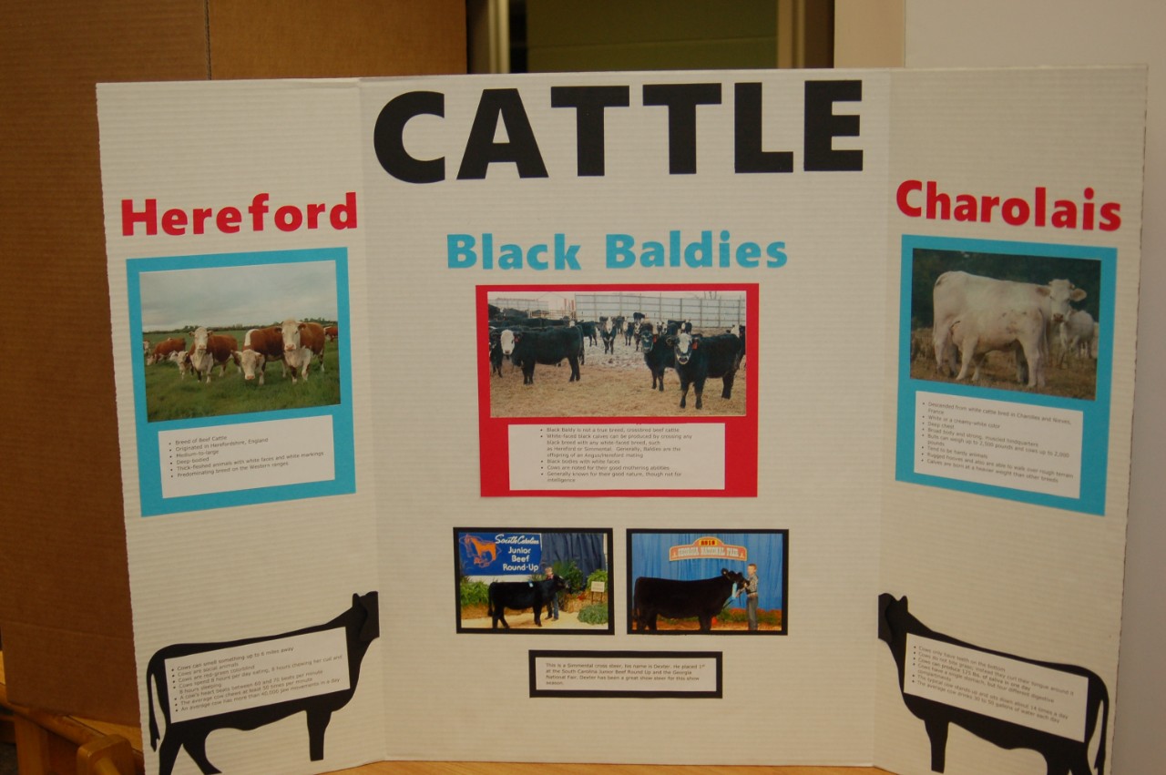 Animal Science poster