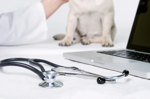 Veterinary Science