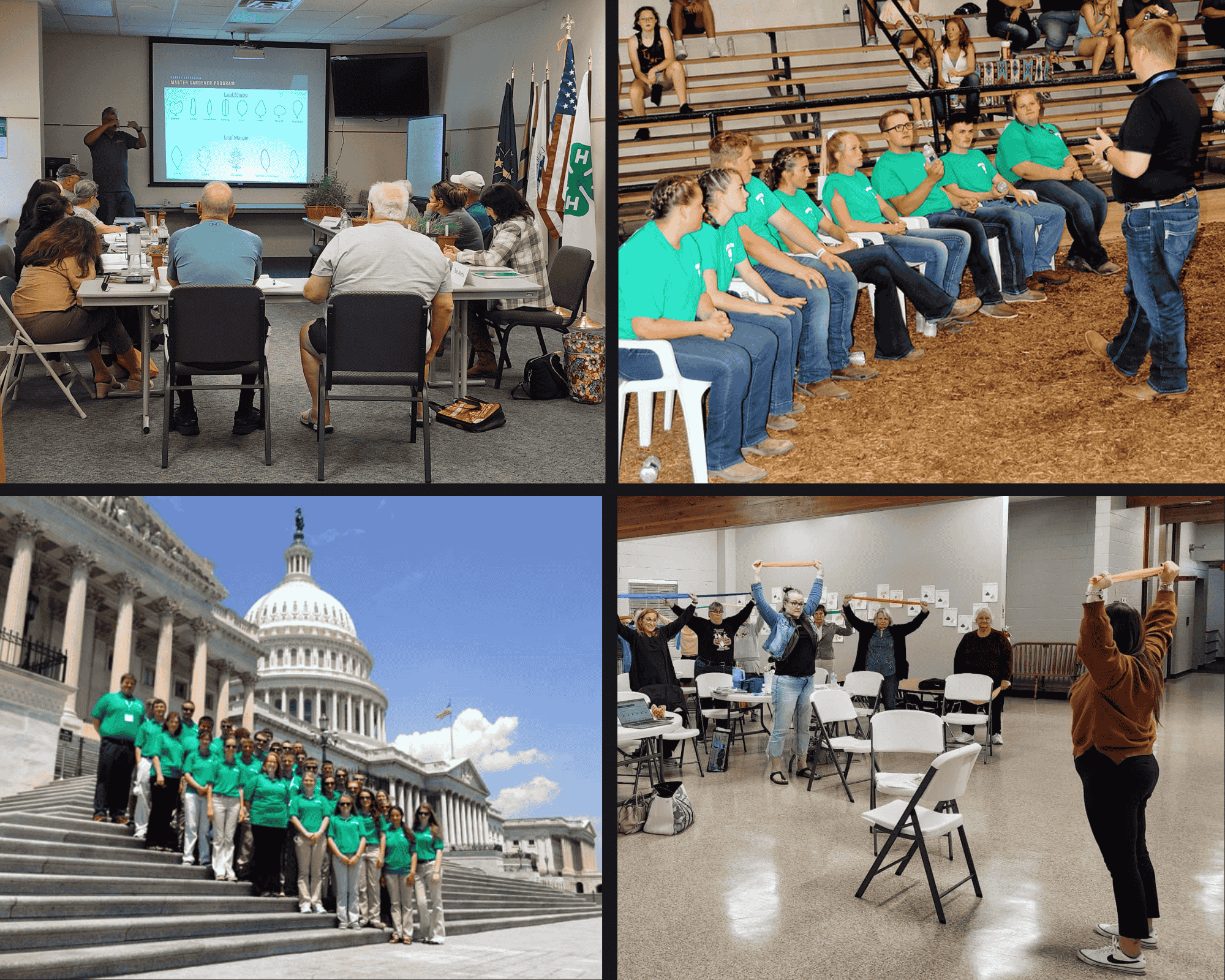 collage of educators teaching