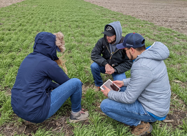 three people in field talking