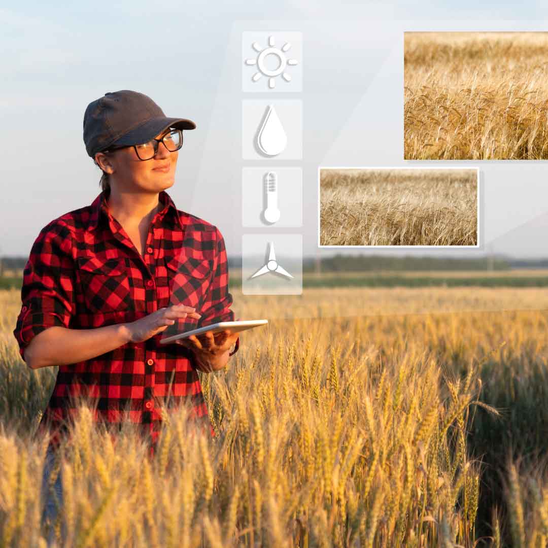 woman in field with tablet