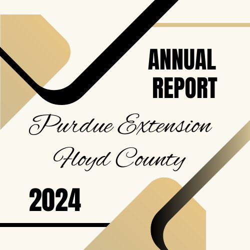 Annual Report Cover