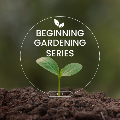 Beginning Gardening Series