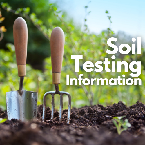 Soil Testing 