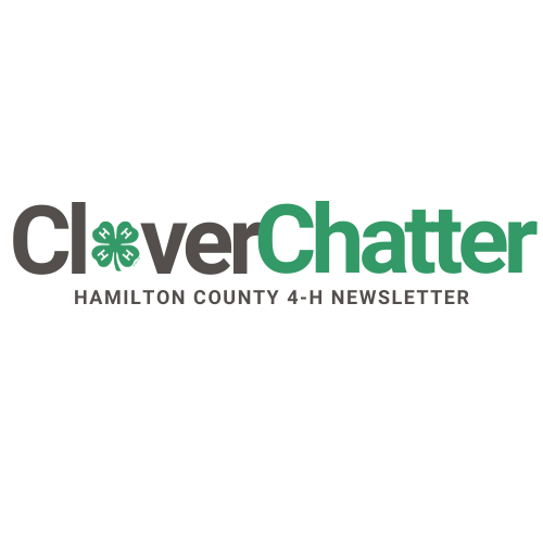 clover chatter