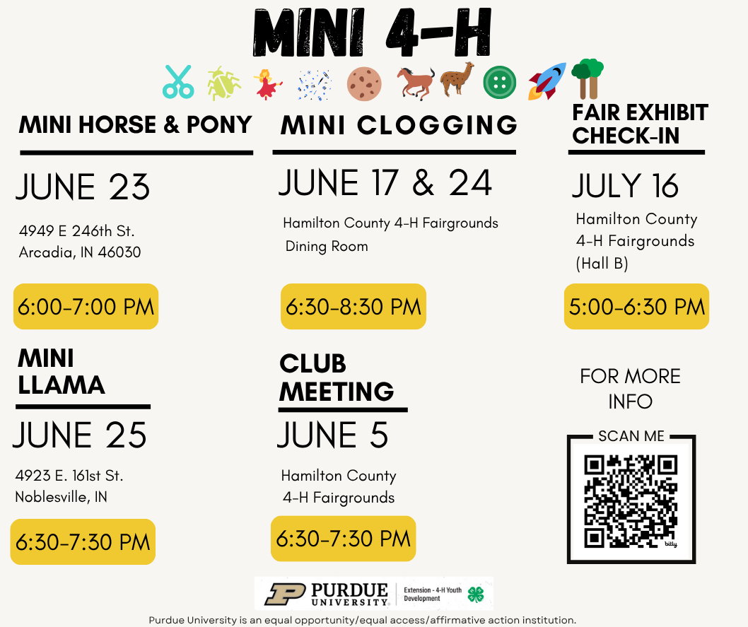 mini 4-H workshops
