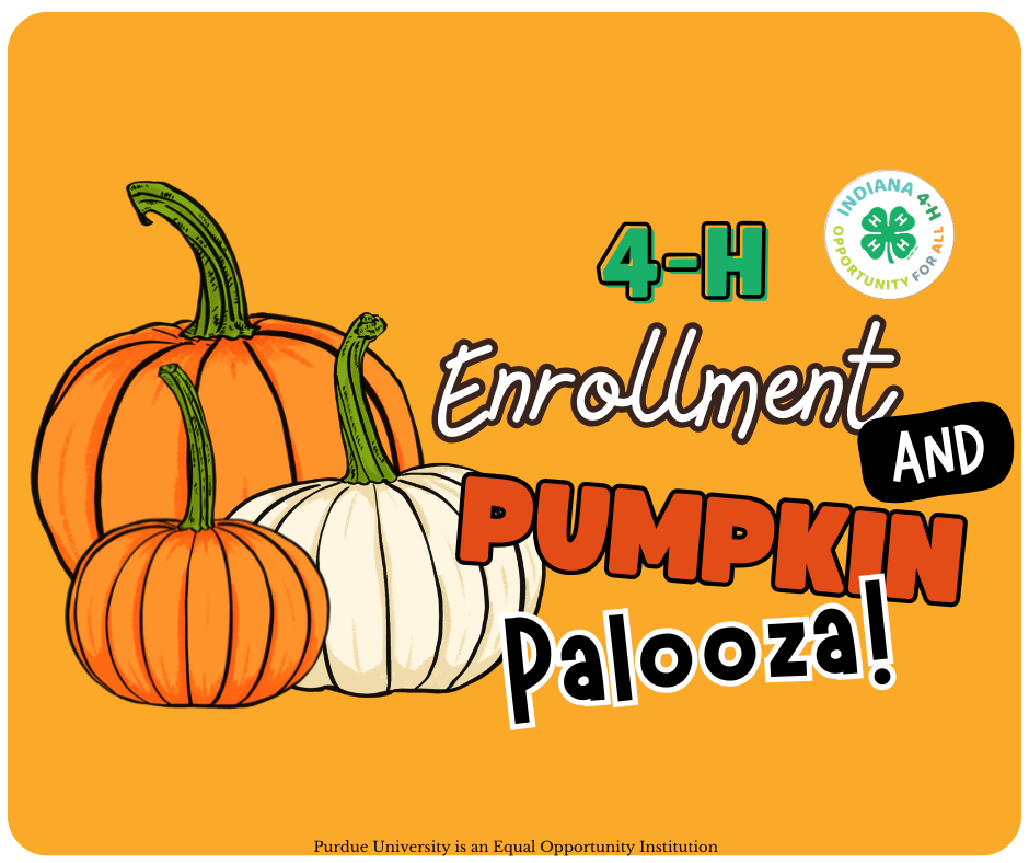 Pumpkin Palooza!