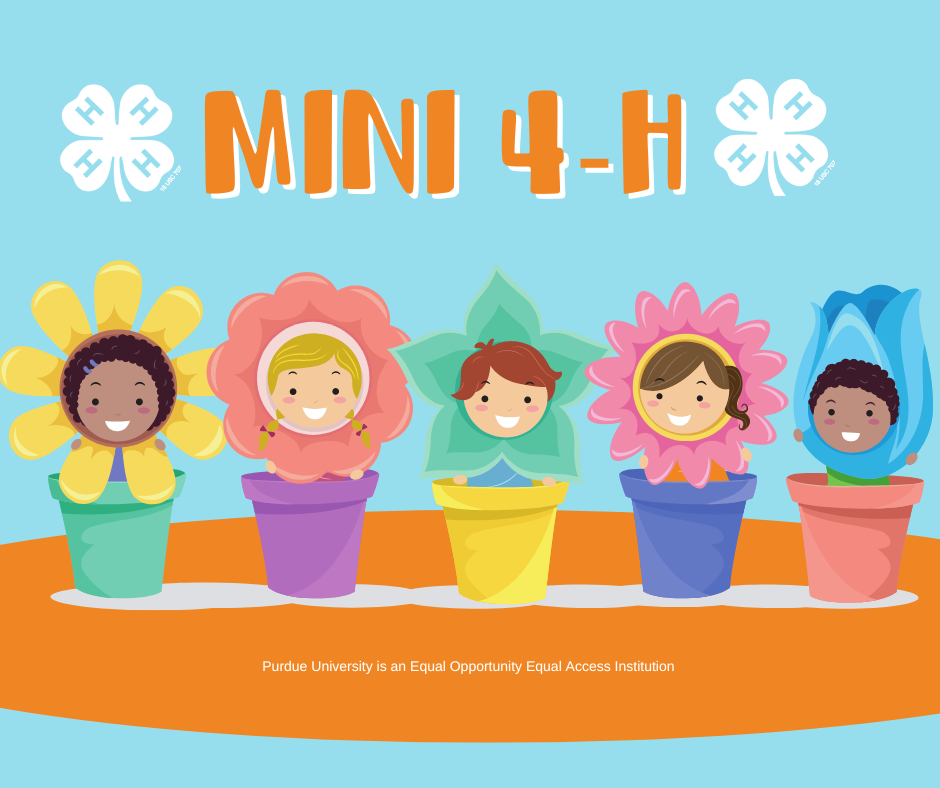 mini 4h