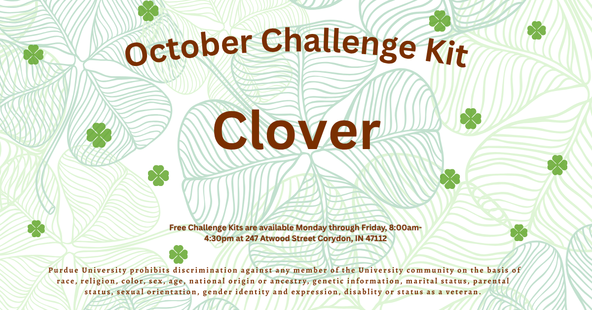 challenge kit