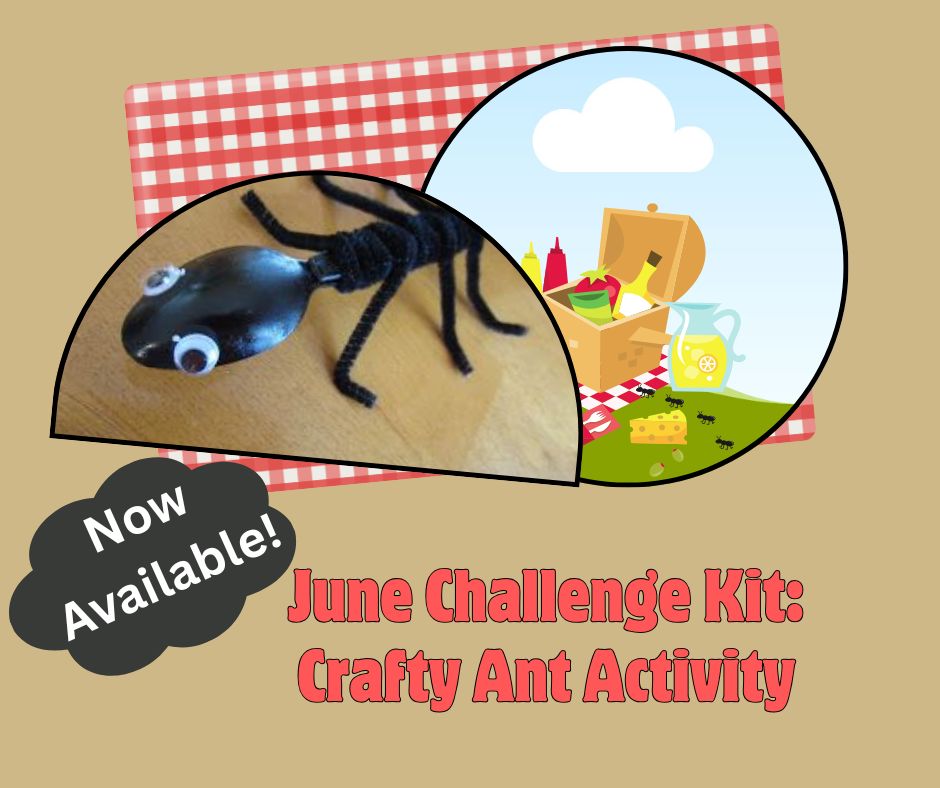 challenge kit