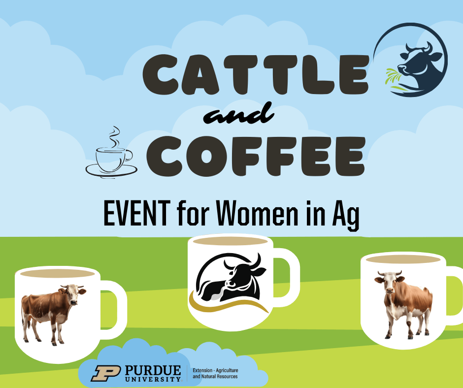Cattle & Coffee