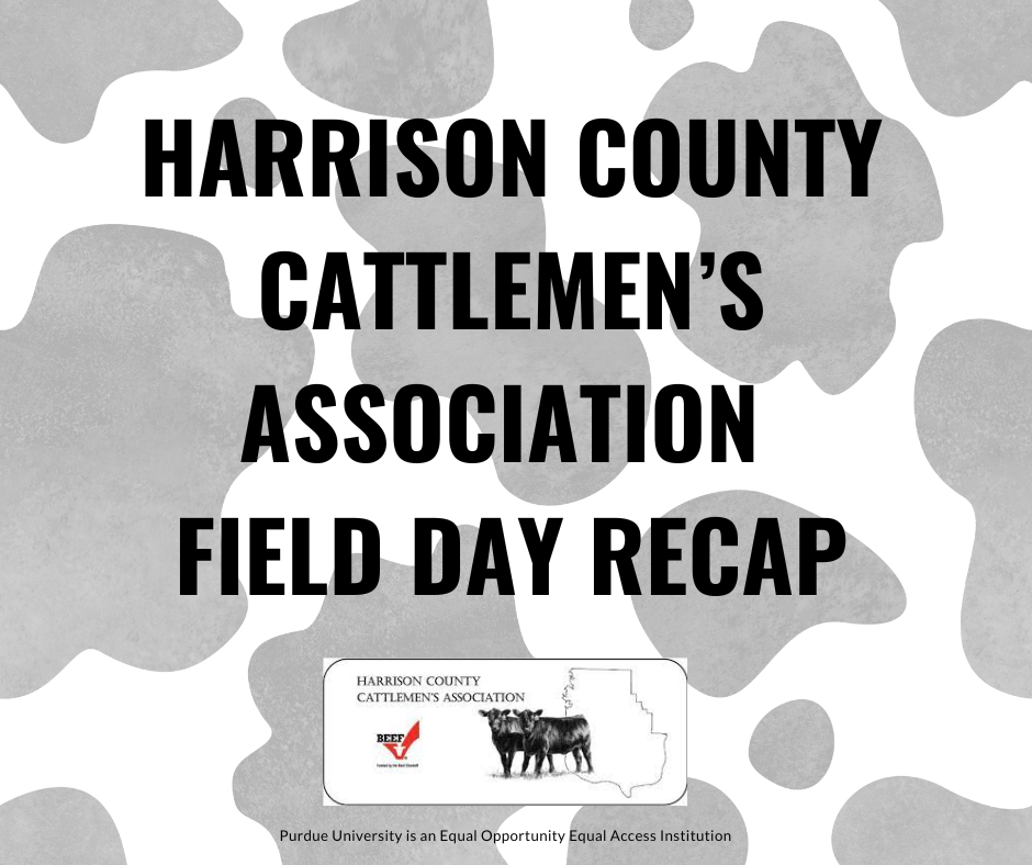 Field Day Recap Cover