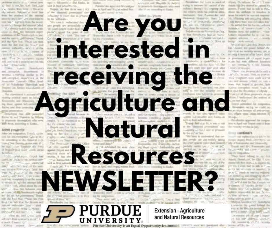 newsletter cover