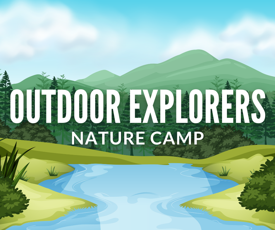 nature camp