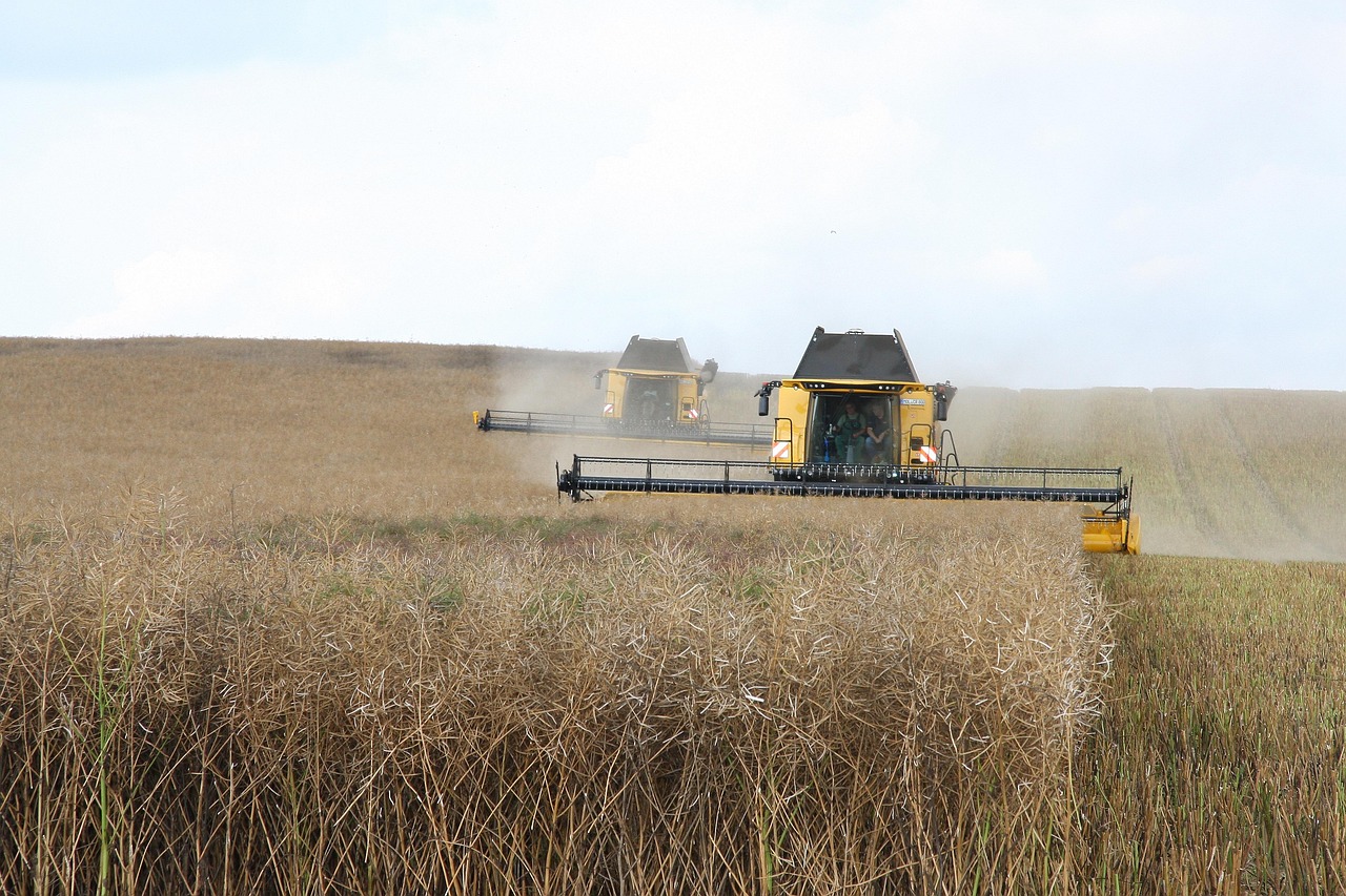 combine in a field