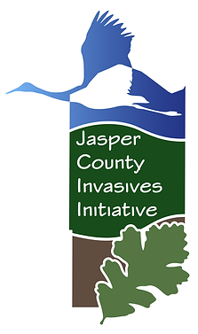 jcii logo