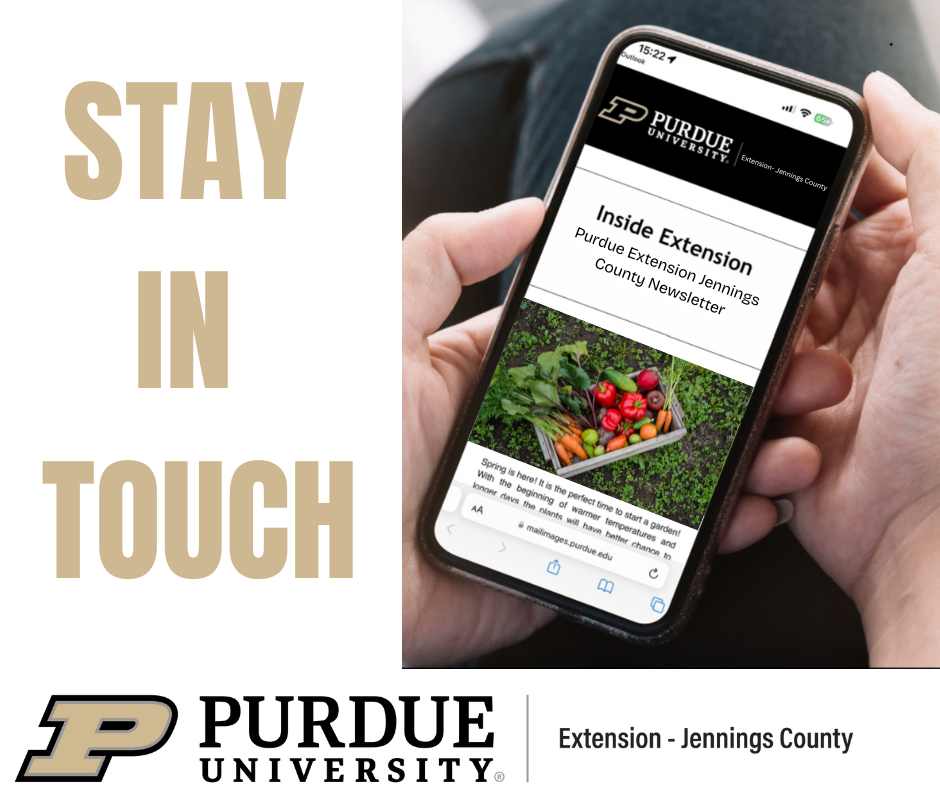 Picture of a phone promoting to sign up for e-newsletter 