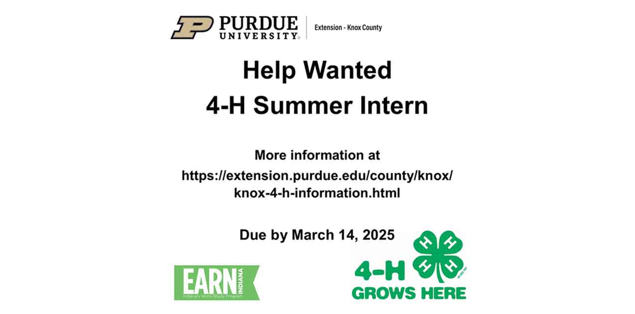summer intern