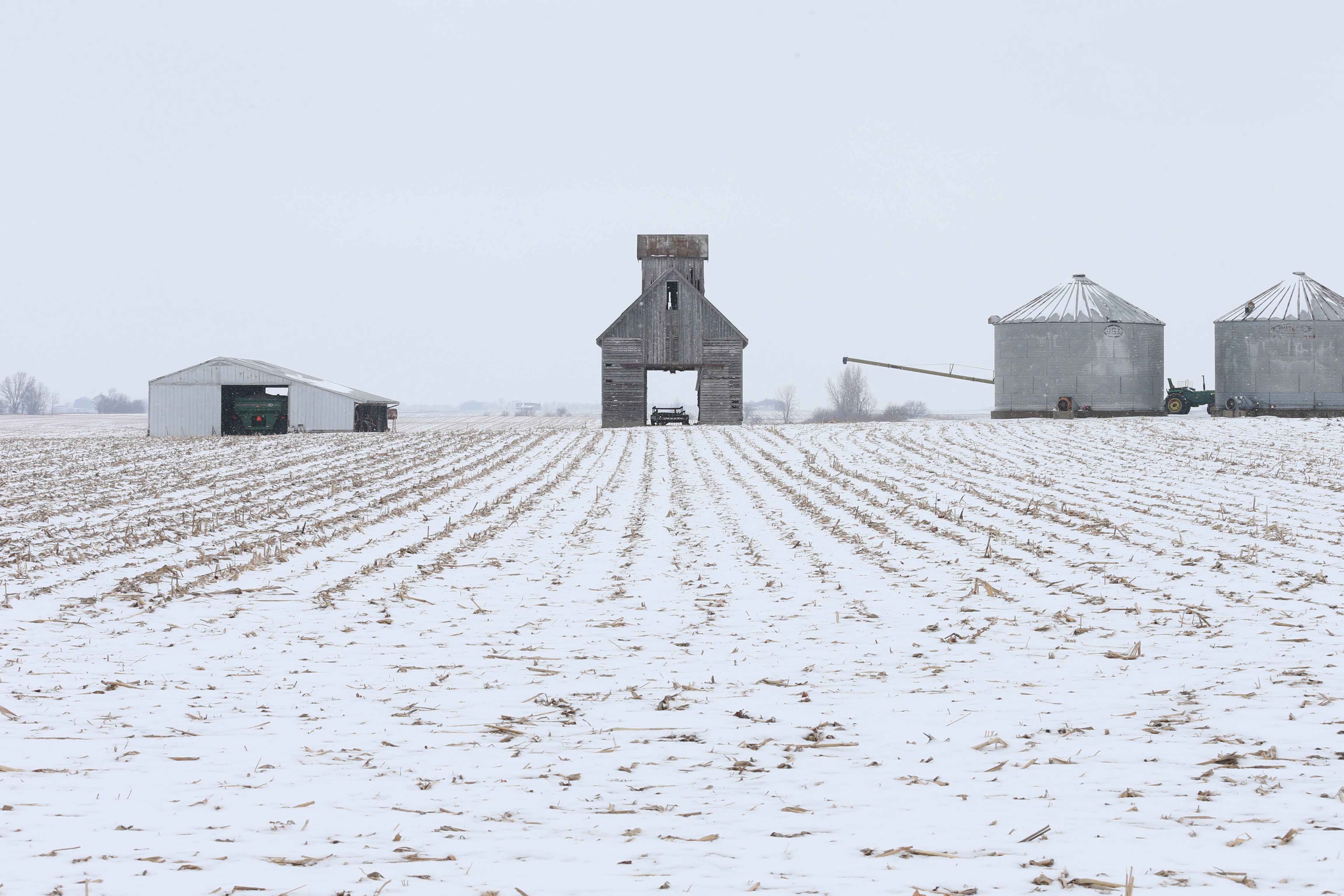 Snowy field