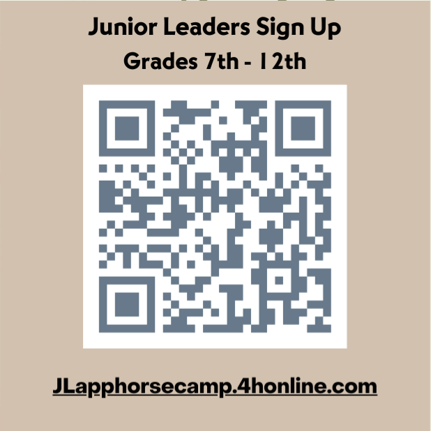 Horse & Pony QR Code Camp